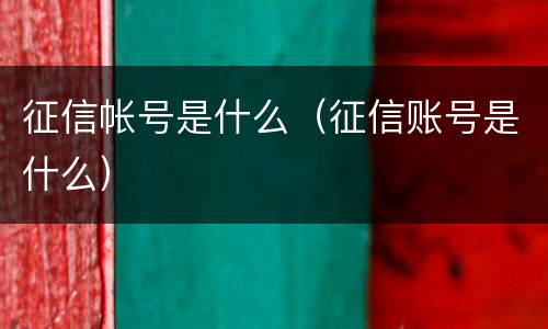 征信帐号是什么（征信账号是什么）
