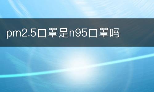 pm2.5口罩是n95口罩吗