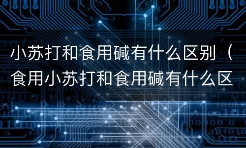 小苏打和食用碱有什么区别（食用小苏打和食用碱有什么区别）