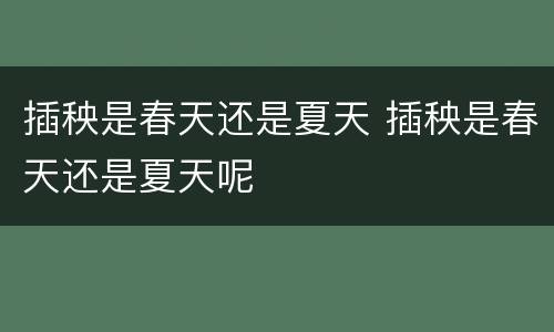 插秧是春天还是夏天 插秧是春天还是夏天呢