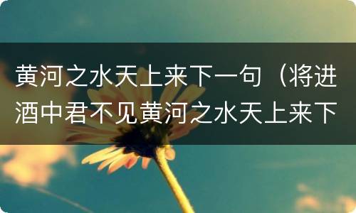 黄河之水天上来下一句（将进酒中君不见黄河之水天上来下一句）