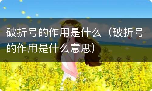 破折号的作用是什么（破折号的作用是什么意思）