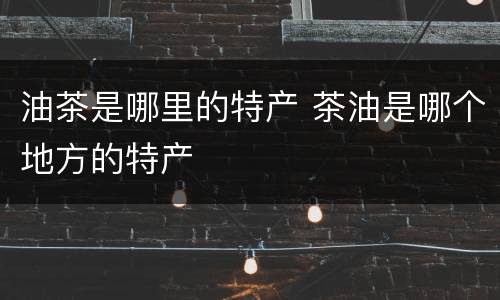 油茶是哪里的特产 茶油是哪个地方的特产