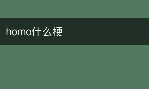 homo什么梗