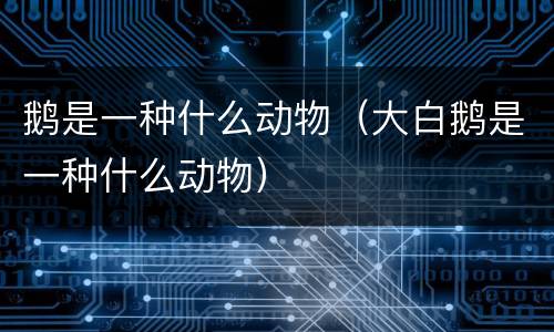 鹅是一种什么动物(大白鹅是一种什么动物)