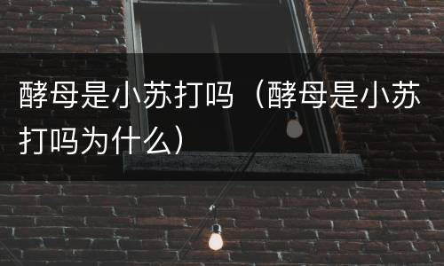 酵母是小苏打吗（酵母是小苏打吗为什么）