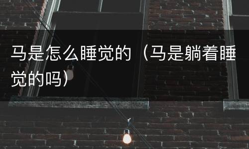 马是怎么睡觉的（马是躺着睡觉的吗）
