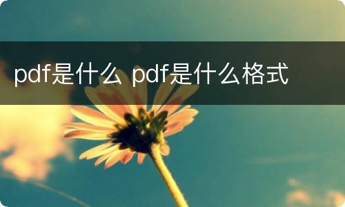 pdf是什么 pdf是什么格式
