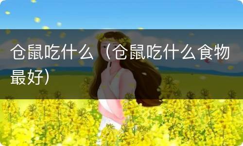 仓鼠吃什么（仓鼠吃什么食物最好）