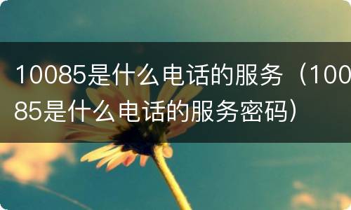 10085是什么电话的服务（10085是什么电话的服务密码）