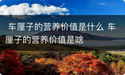  车厘子的营养价值是什么 车厘子的营养价值是啥