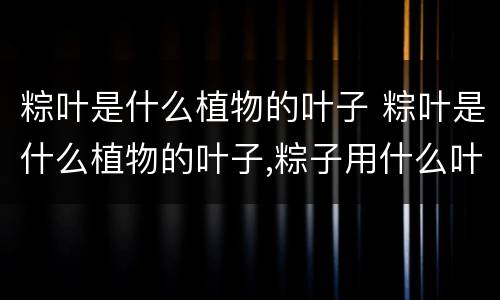 粽叶是什么植物的叶子 粽叶是什么植物的叶子,粽子用什么叶子包好?
