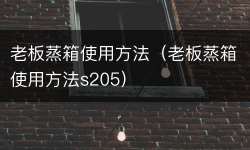 老板蒸箱使用方法（老板蒸箱使用方法s205）