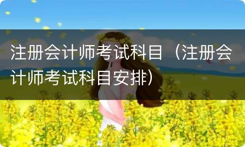 注册会计师考试科目（注册会计师考试科目安排）