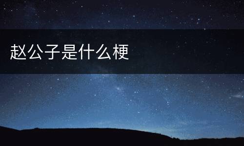 赵公子是什么梗