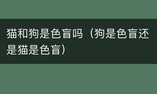 猫和狗是色盲吗（狗是色盲还是猫是色盲）