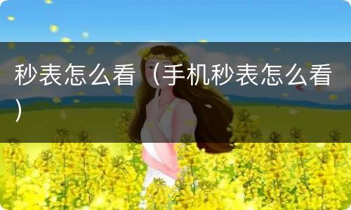 秒表怎么看（手机秒表怎么看）