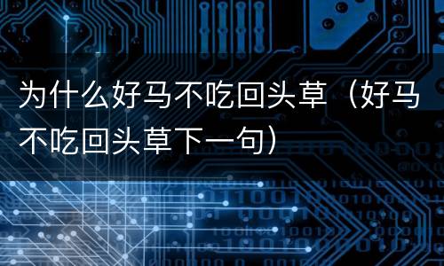 为什么好马不吃回头草（好马不吃回头草下一句）