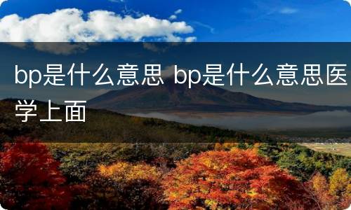 bp是什么意思 bp是什么意思医学上面