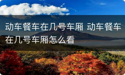 动车餐车在几号车厢 动车餐车在几号车厢怎么看