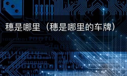 穗是哪里（穗是哪里的车牌）