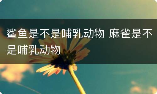 鲨鱼是不是哺乳动物 麻雀是不是哺乳动物