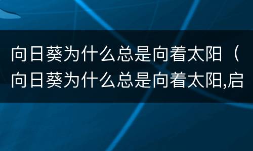 向日葵为什么总是向着太阳（向日葵为什么总是向着太阳,启示我们什么）