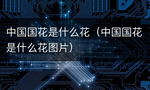 中国国花是什么花（中国国花是什么花图片）