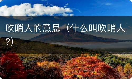 吹哨人的意思（什么叫吹哨人?）