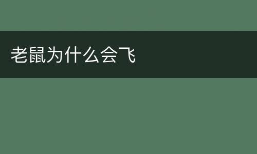 老鼠为什么会飞
