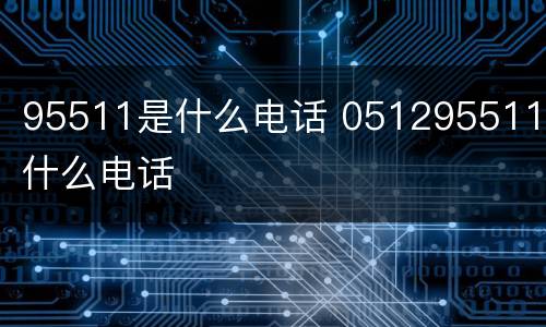 95511是什么电话 051295511是什么电话