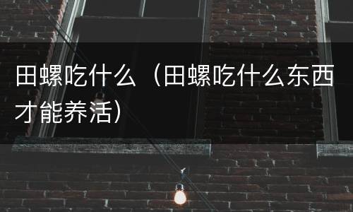 田螺吃什么（田螺吃什么东西才能养活）
