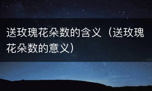 送玫瑰花朵数的含义（送玫瑰花朵数的意义）