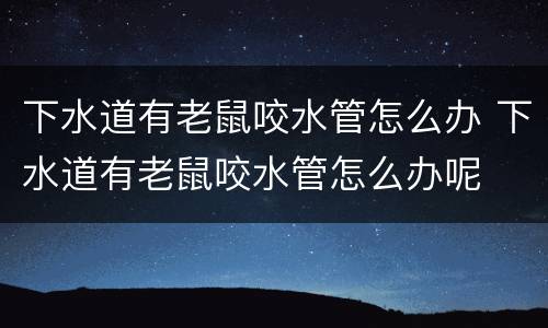 下水道有老鼠咬水管怎么办 下水道有老鼠咬水管怎么办呢