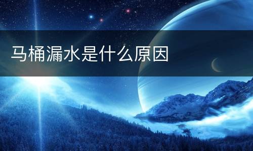 马桶漏水是什么原因