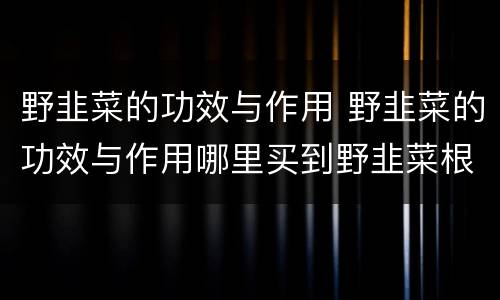 野韭菜的功效与作用 野韭菜的功效与作用哪里买到野韭菜根