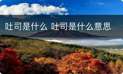 吐司是什么 吐司是什么意思