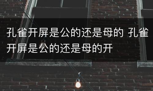 孔雀开屏是公的还是母的 孔雀开屏是公的还是母的开
