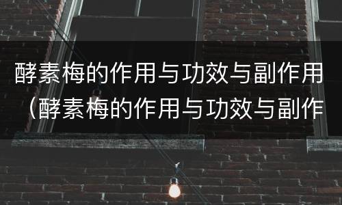 酵素梅的作用与功效与副作用（酵素梅的作用与功效与副作用 知乎）