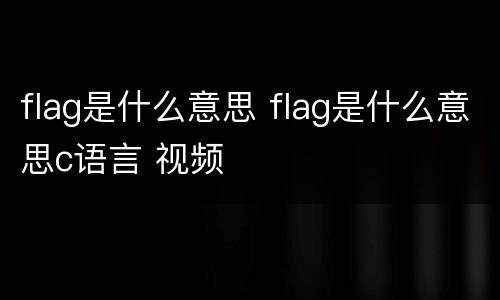 flag是什么意思 flag是什么意思c语言 视频