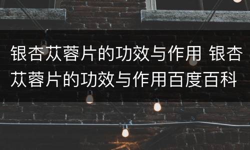 银杏苁蓉片的功效与作用 银杏苁蓉片的功效与作用百度百科