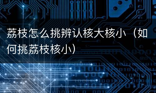 荔枝怎么挑辨认核大核小(如何挑荔枝核小)