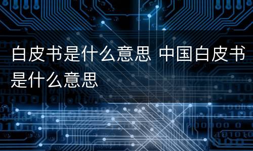 白皮书是什么意思 中国白皮书是什么意思