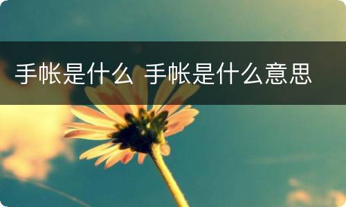 手帐是什么 手帐是什么意思