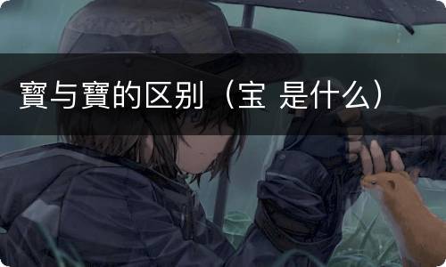 寳与寶的区别（宝 是什么）