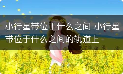 小行星带位于什么之间 小行星带位于什么之间的轨道上