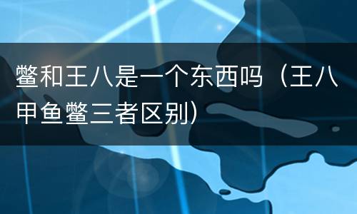 鳖和王八是一个东西吗（王八甲鱼鳖三者区别）