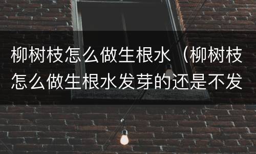 柳树枝怎么做生根水（柳树枝怎么做生根水发芽的还是不发芽的）