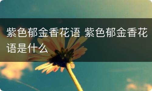 紫色郁金香花语 紫色郁金香花语是什么