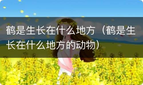 鹤是生长在什么地方（鹤是生长在什么地方的动物）